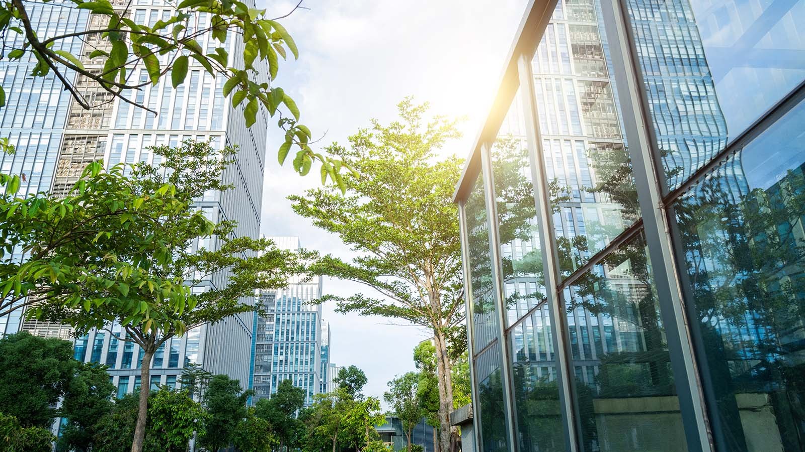 Introduction to Net Zero Carbon Design